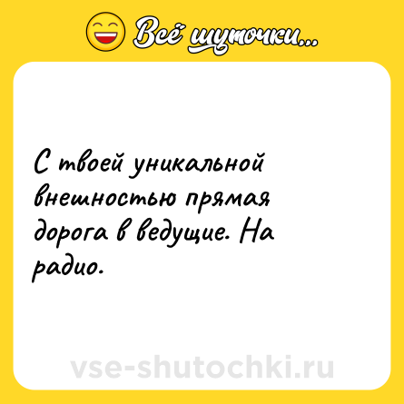 Шутка: С твоей уникальной внешностью прямая дорога в ведущие. На радио.