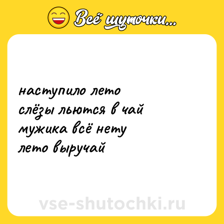 Шутка: наступило лето<br>слёзы льются в чай<br>мужика всё нету<br>лето выручай