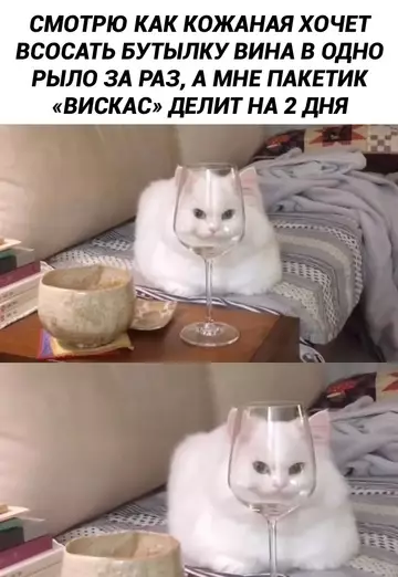 Смешная картинка №759897 Нечестно!
