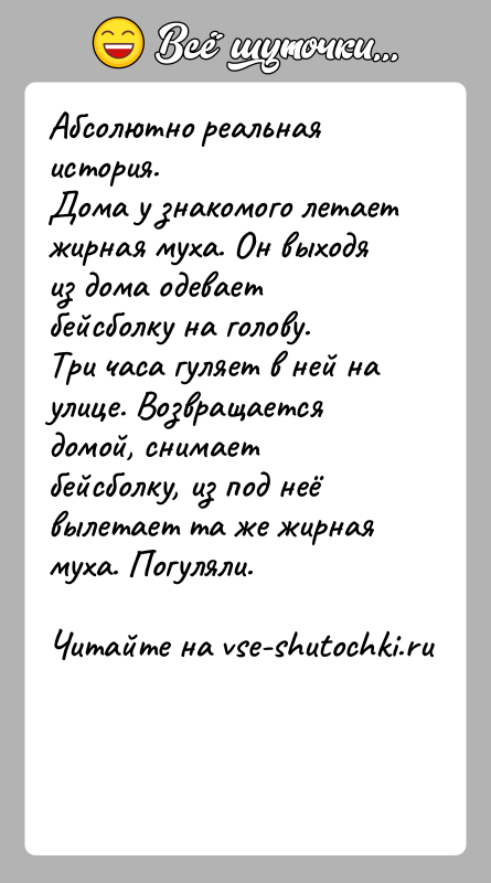 История: Абсолютно реальная история.Дома у знакомого летает жирная муха. Он выходя из дома одевает бейсболку на голову. Три часа гуляет в