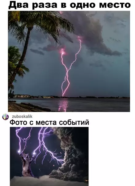 Смешная картинка №507635 Вот это поворот.