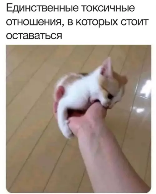 Смешная картинка №720048