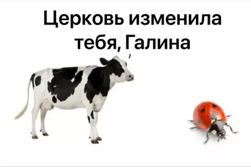 Смешная картинка №784909