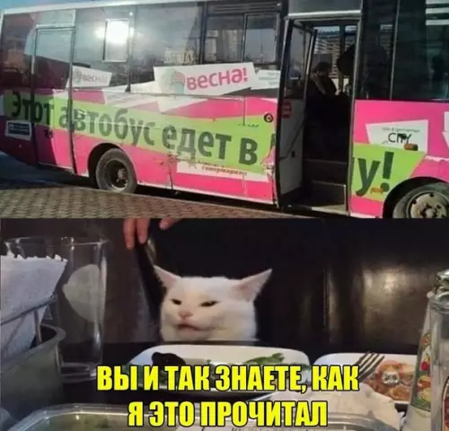 Смешная картинка №513104 Впервые поддерживаю кота!