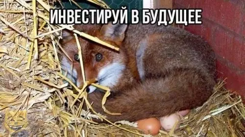 Смешная картинка №365593 #приколы #картинки #мемы ?