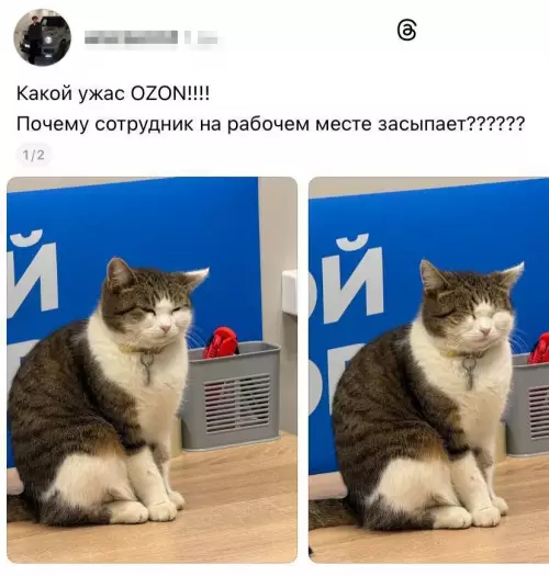 Смешная картинка №796121