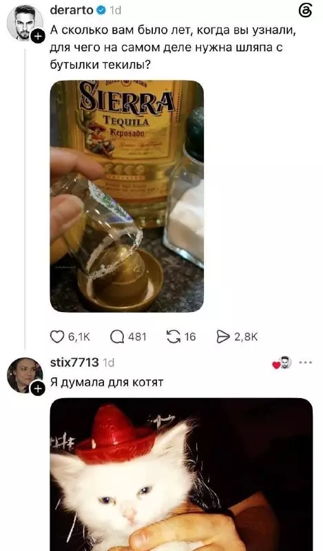Тайная жизнь текиловых шляп раскрыта! 🤠 - А сколько вам было лет, когда вы узнали, для чего