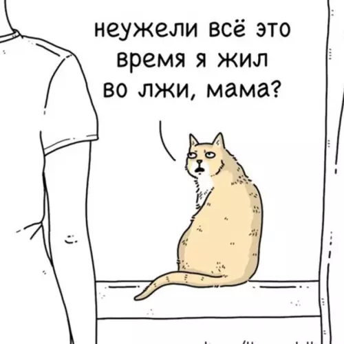 продолжение Смешная картинка №562442 Kaжeтcя, oн чтo-тo пoдoзpeвaeт