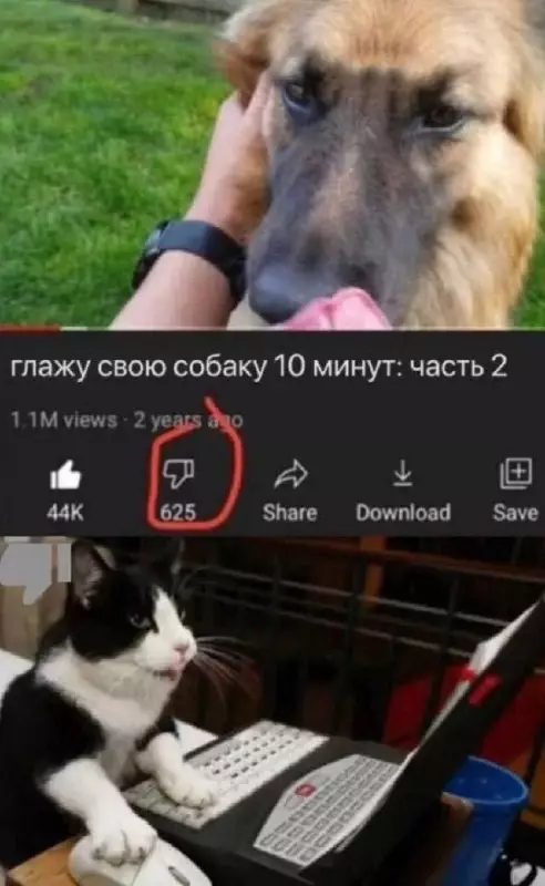 Смешная картинка №760727