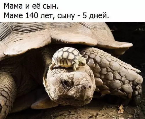 Смешная картинка №188425
