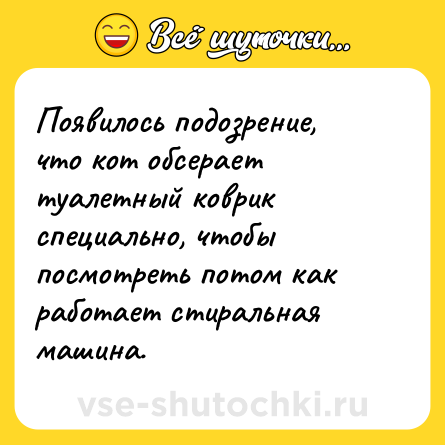 Шутка: Появилось подозрение, что кот обсерает туалетный коврик специально, чтобы посмотреть потом как работает стиральная машина.