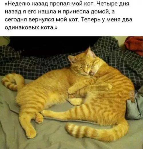 Смешная картинка №369490