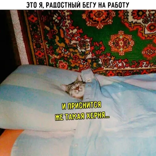 Смешная картинка №769413