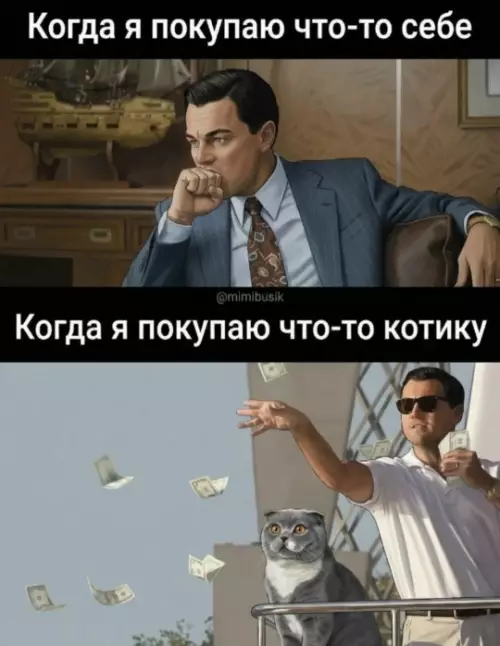 Две стороны одной медали: я и мой кот 💸🐈 - Когда я покупаю что-то себе Когда я покупаю что-то котику