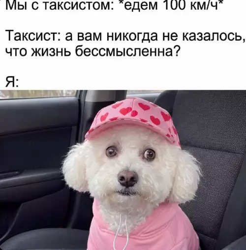 Смешная картинка №822664 таксисты
