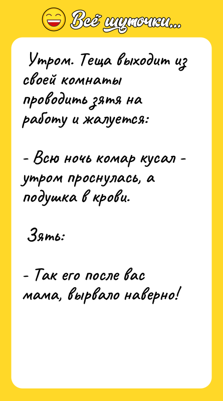  Утром. Теща выходит из своей комнаты проводить зятя на