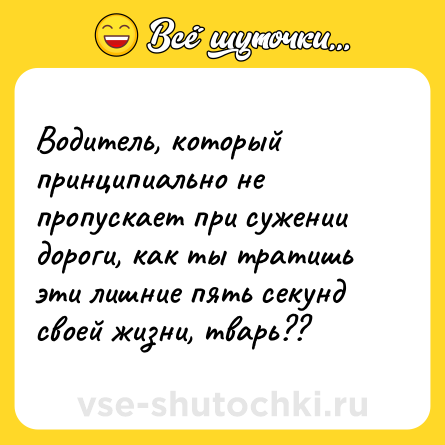 Шутка: Водитель, который принципиально не пропускает при сужении дороги, как ты тратишь эти лишние пять секунд своей жизни, тварь??