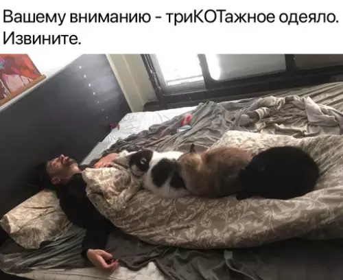 Смешная картинка №693647