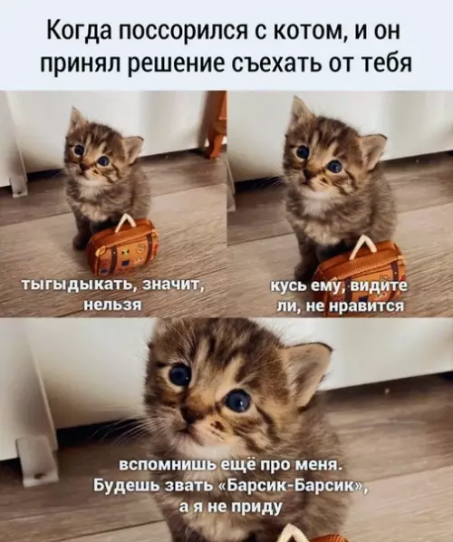 Смешная картинка №502813 Грустная история