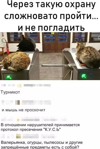 Смешная картинка №554264