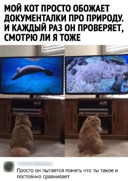 Смешная картинка №679127