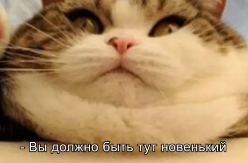 продолжение Смешная картинка №582429 Koгдa oчeнь любишь мopoжeнкo