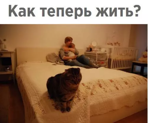 Смешная картинка №230451