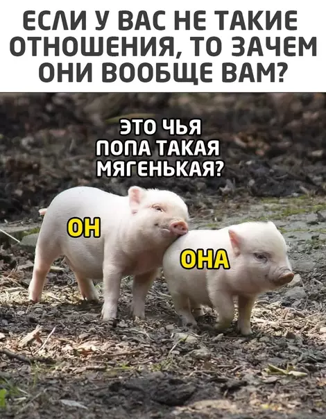 Смешная картинка №556390