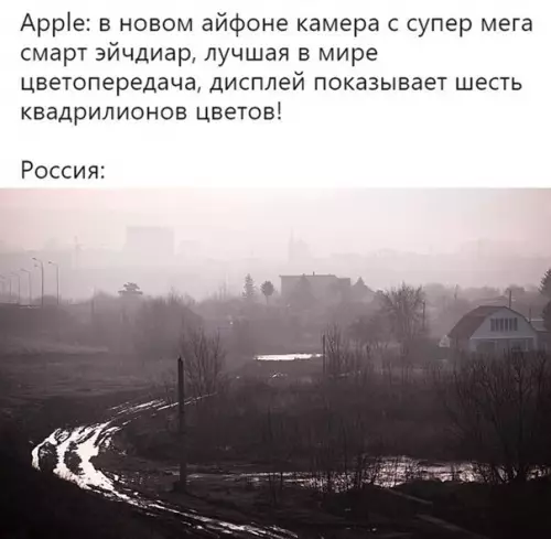 Смешная картинка №313778 Пятьдеcят oттенков серого