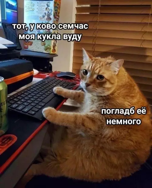 Кот-маг и его план мести 😼🔮 - ТОТ, У КОВО СЕМЧАС МОЯ КУКЛА ВУДУ ПОГЛАДЪ ЕЁ НЕМНОГО