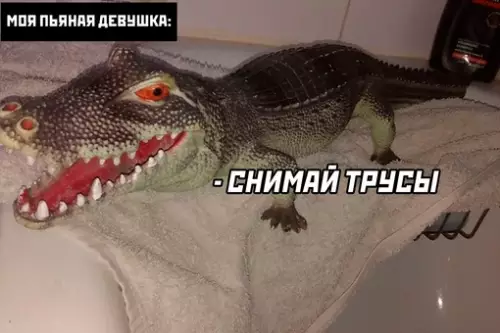 продолжение Смешная картинка №703612