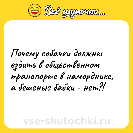 Шутка: Почему собачки должны ездить в общественном транспорте в наморднике, а бешеные бабки - нет?!