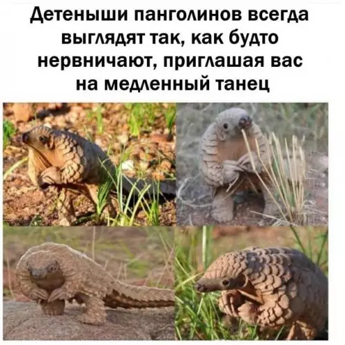 Смешная картинка №301880