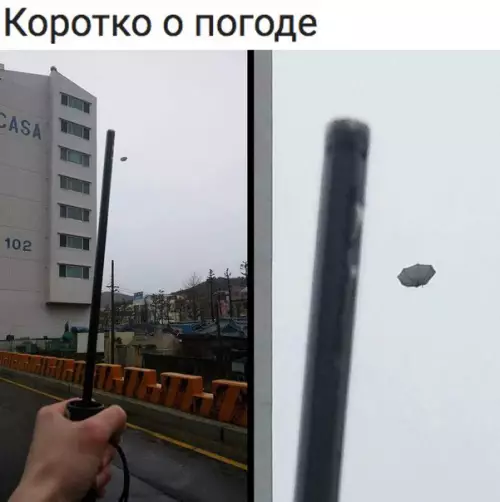 Смешная картинка №260004 погода
