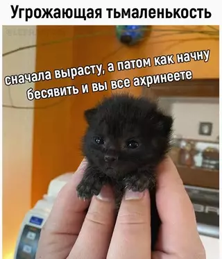 Смешная картинка №716966