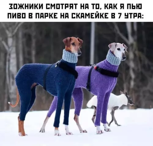 Смешная картинка №744331