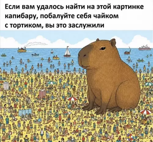 Найди капибару и получи награду! 🦦✨ - Если вам удалось найти на этой картинке капибару, побалуйте себя