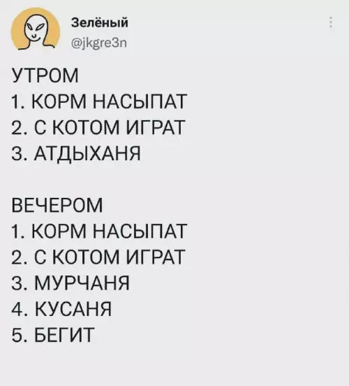 Смешная картинка №668866 План на день 