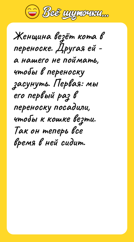 Женщина везёт кота в переноске. Другая ей - а нашего