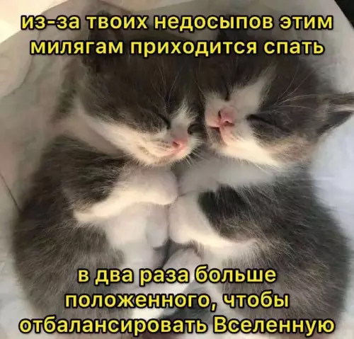 Смешная картинка №700099