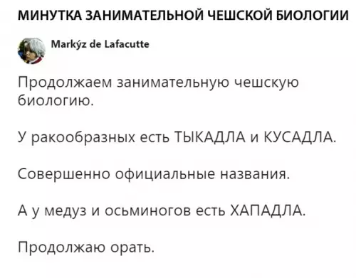 Смешная картинка №316080