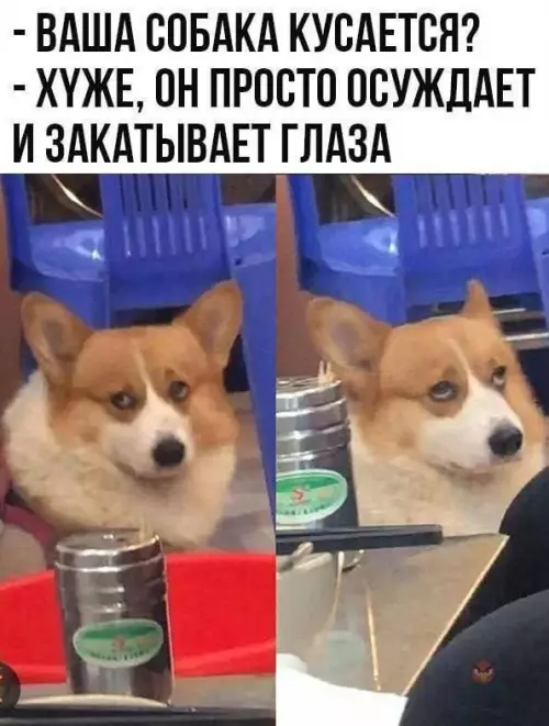 Смешная картинка №759269