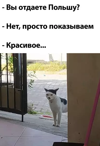 Смешная картинка №600093