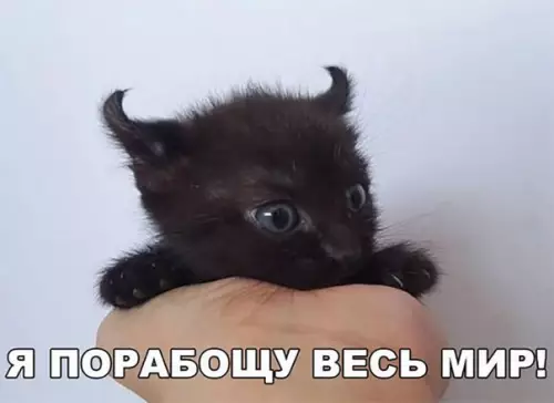 Смешная картинка №256847