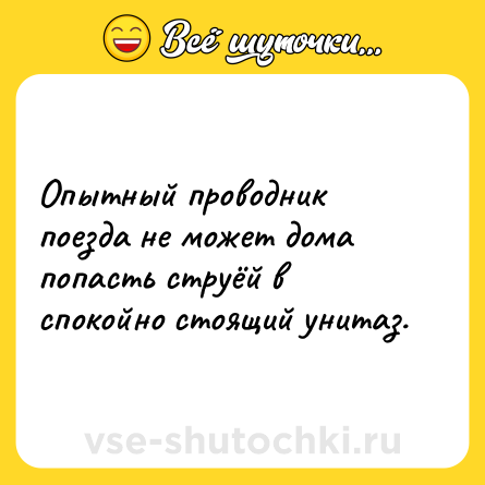 Шутка: Опытный проводник поезда не может дома попасть струёй в спокойно стоящий унитаз.