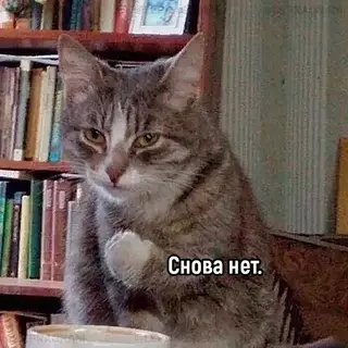 продолжение Смешная картинка №691786