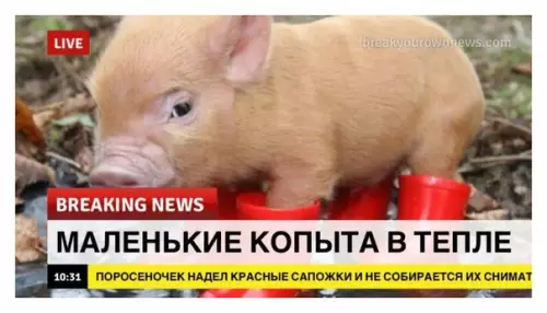 Смешная картинка №341831