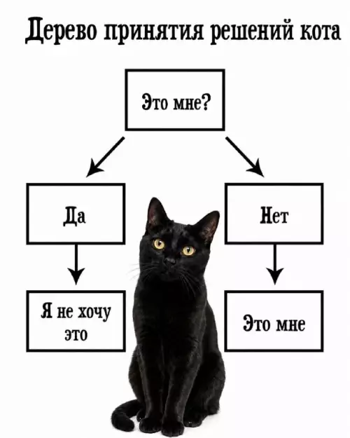 Смешная картинка №821287 Коты
