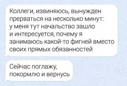 Смешная картинка №738441 Раб Коты