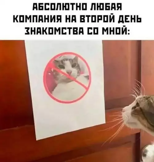 Смешная картинка №752249